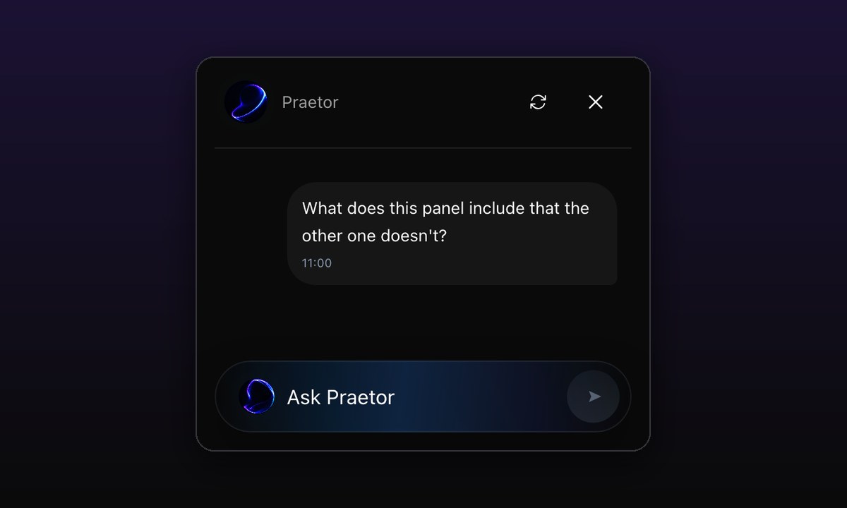 A Praetor chat in which a visitor asks what one panel includes that another does not.